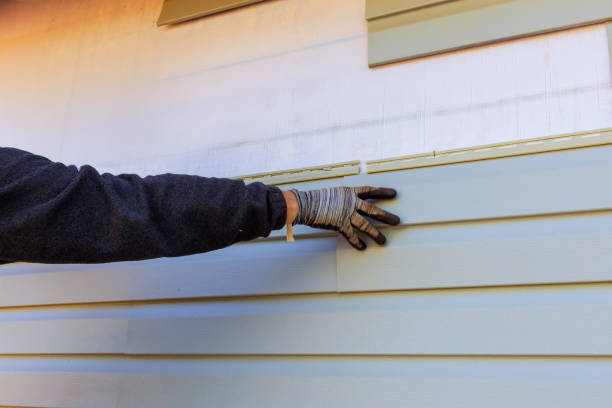 Affordable Siding Repair and Maintenance Services in Bannockburn, IL